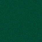 RAL 6005 – farge for Nova